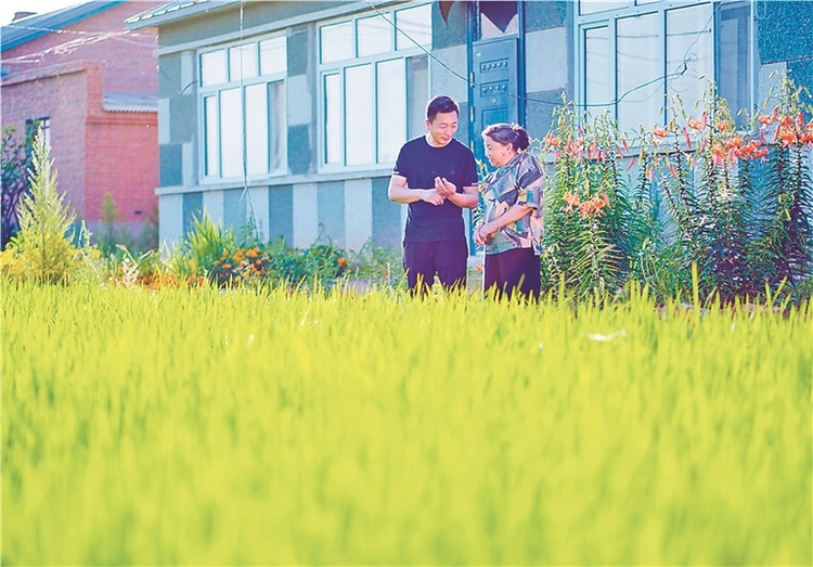 百花齐放小菜园增收致富新亮点