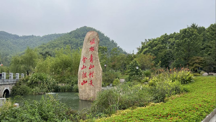 以“法”护航，余村走出乡村振兴新路_fororder_17