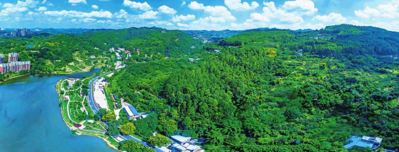 （转载）关注森林 四川正在做什么