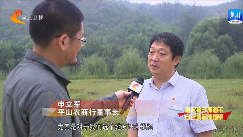 河北：稳经济政策体系落地 帮扶中小微企业纾困解难