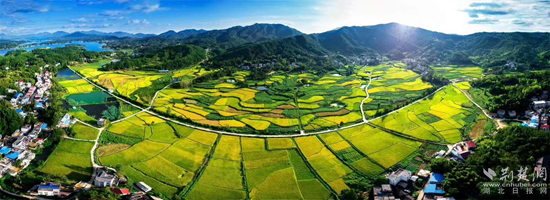 湖北英山县历史在这个乡镇翻开序幕，绿色崛起的生态强镇呼之欲出