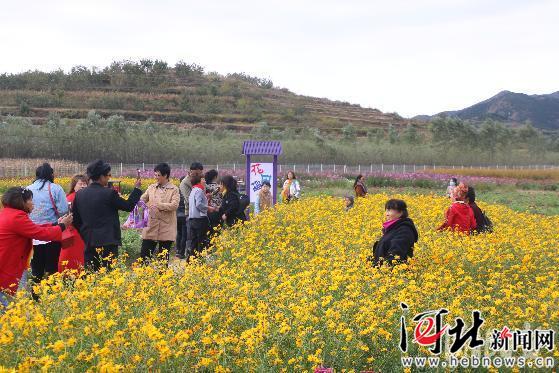 【壮丽70年 奋斗新时代】河北农林牧渔业总产值70年增长280倍