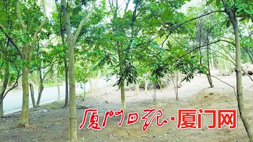 【法治 列表】【滚动新闻】【地市 厦门】厦门思明严查非法农家乐 推进东坪山专项整治工作