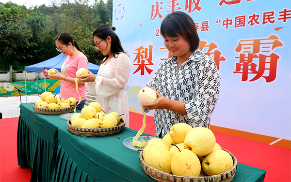 眉山仁寿：举办“梨王赛” 欢乐迎丰收_fororder_果农们正在开展削梨皮比赛-供图-仁寿县委宣传部