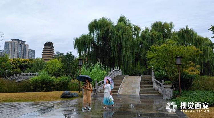 【中首 陕西 图】秋雨园景美如画