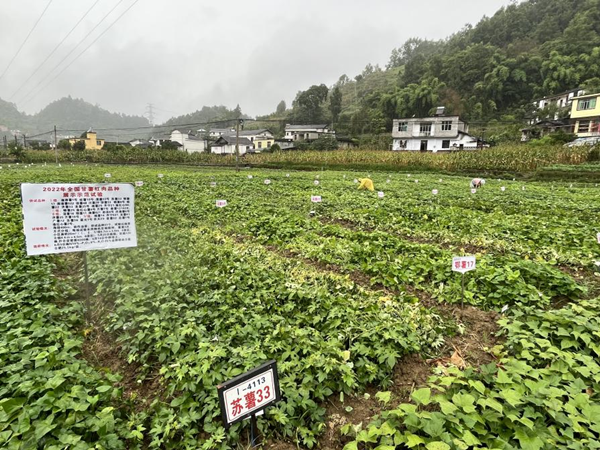 重庆彭水：铜锣村24名大学生获优才助力奖金3万元_fororder_图片2