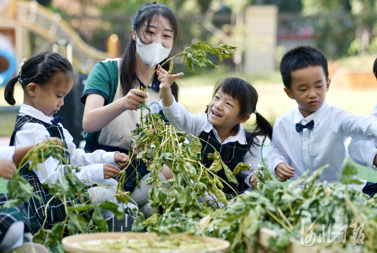 河北：“萌娃”喜迎丰收节