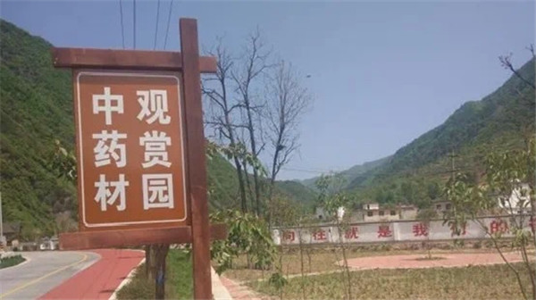 “学子力量”助力脱贫 西安航空学院材料工程学院“产业扶贫调研队”走进商洛柞水