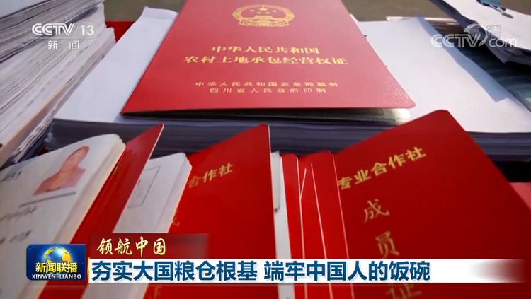 领航中国 | 夯实大国粮仓根基 端牢中国人的饭碗