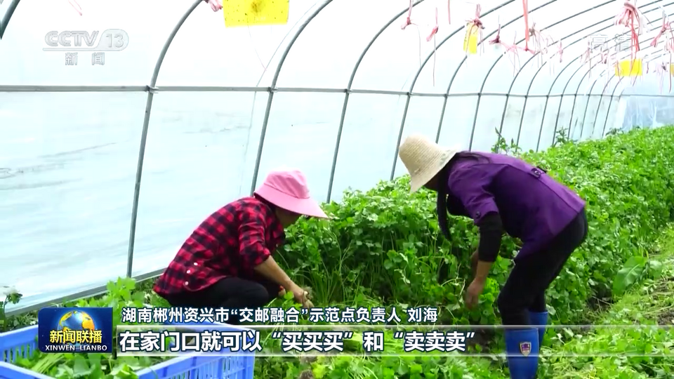 【奋进新征程 建功新时代·非凡十年】农村物流提速 畅通城乡循环