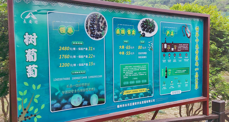 福州：致富路上“一个都不能少”_fororder_图片5_副本
