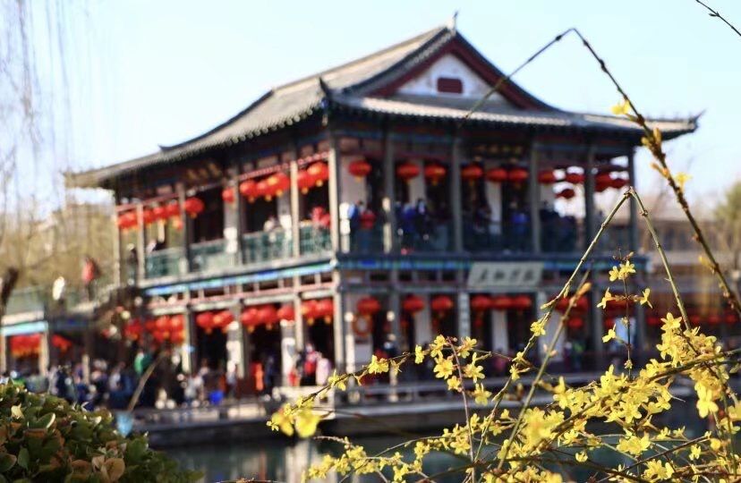 美景山东｜五龙潭公园：水不在深，有龙则灵