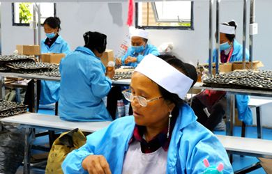 贵州安顺西秀:贫困户搬出大山“生根”新家园“深耕”新事业_fororder_22