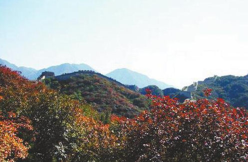 入伏了大家都喊热热热 来避暑天堂逛一逛爽歪歪