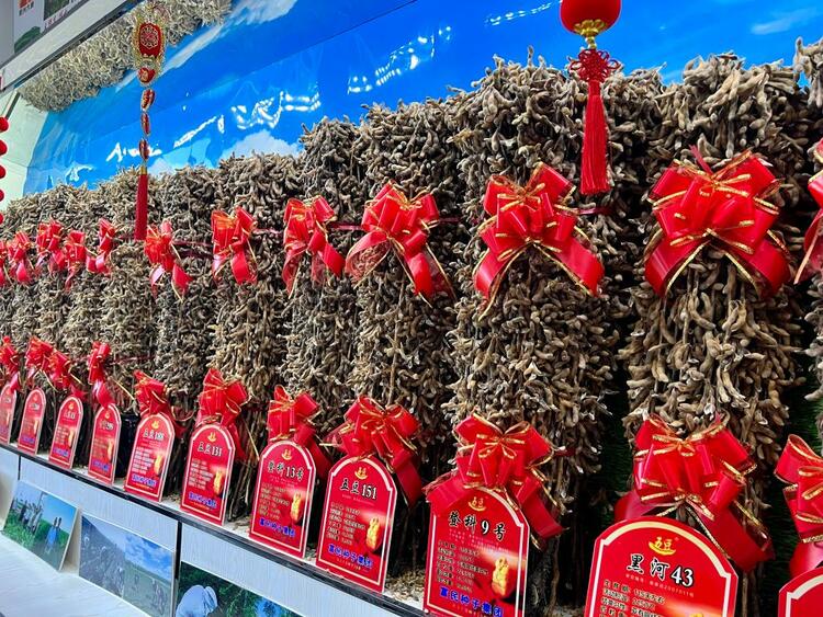 增面积、育良种、延链条——黑龙江黑河大豆产业发展调查