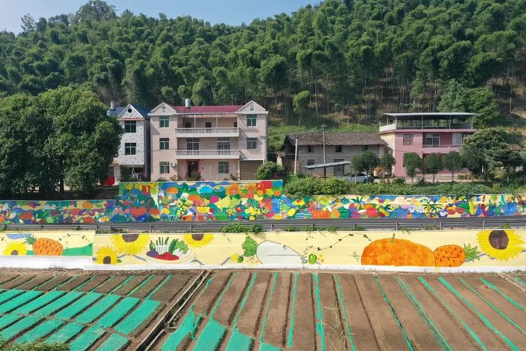 福建南平：百米墙绘联结千里乡情 艺术乡村村貌革新_fororder_图片1