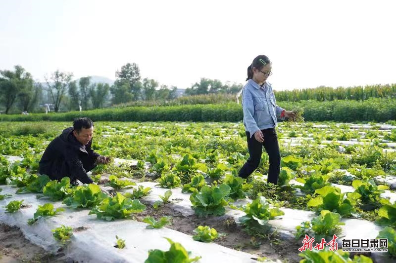 【平凉】劳动实践开启平凉崇信中小学“开学第一课”_fororder_2