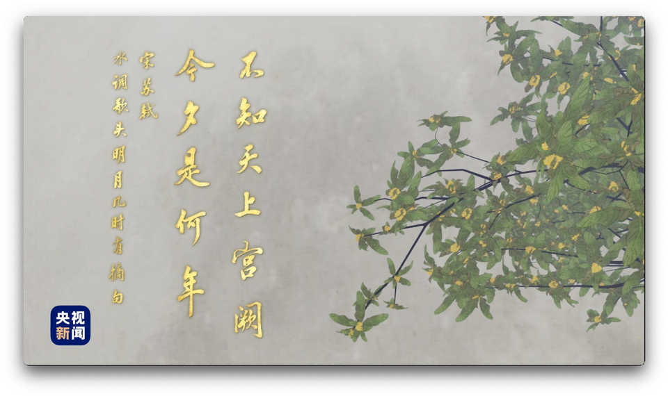 人间好时节丨中秋