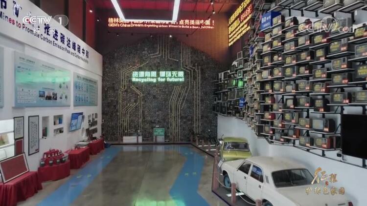 大型纪录片《征程》｜第十集 护绿色家园