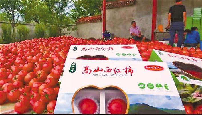 图片默认标题_fororder_13