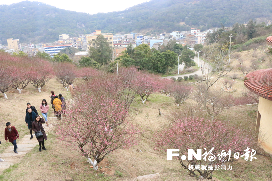 【高清图7】【滚动新闻】长乐梅花镇打造旅游特色小镇