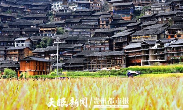又到一年秋收季 黔东南西江千户苗寨“丰”景美如画_fororder_333