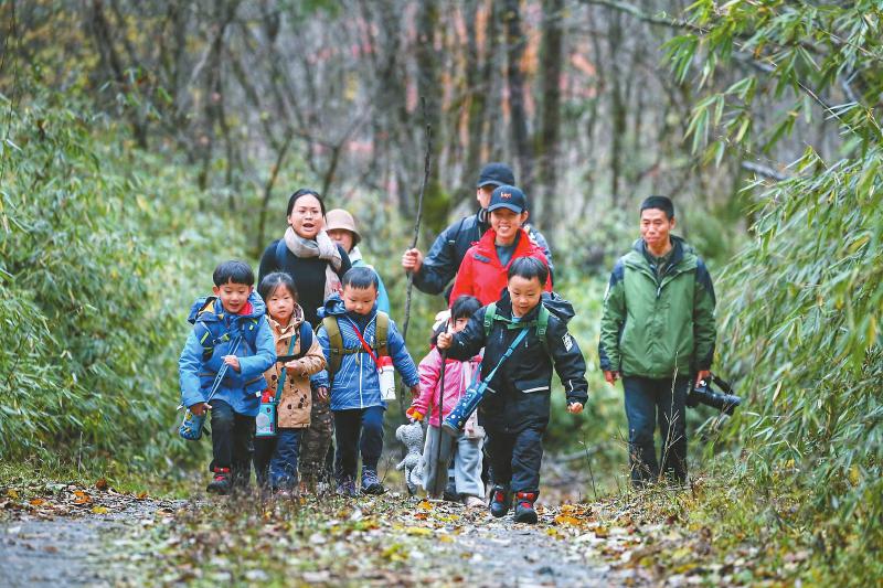（转载）关注森林 四川正在做什么