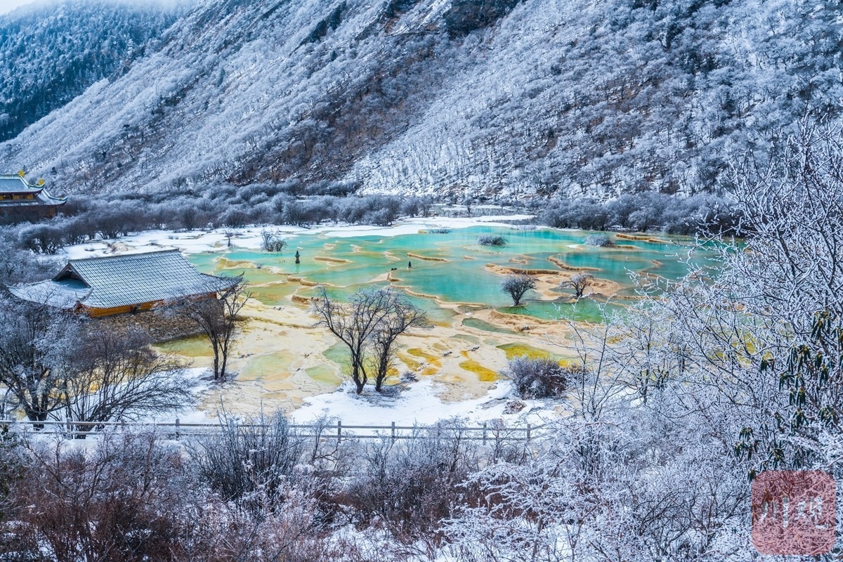 （转载）彩林与冰雪碰撞！雪后九寨沟黄龙美成“童话世界”