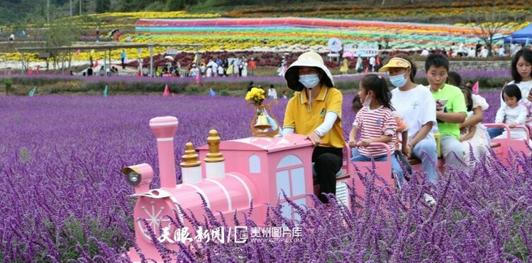 贵州开阳：苗寨花海 游人如织