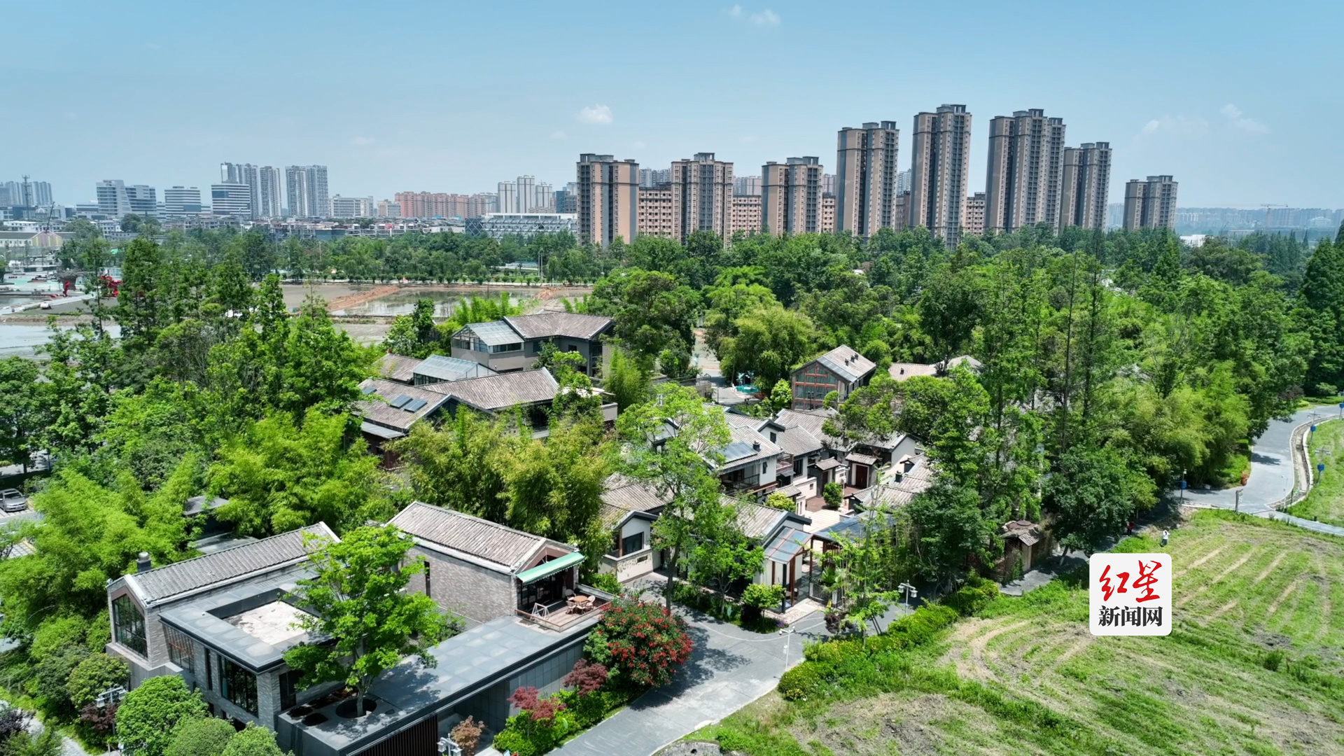 （转载）庆丰收·新农人｜我家就在“千斤万元村”