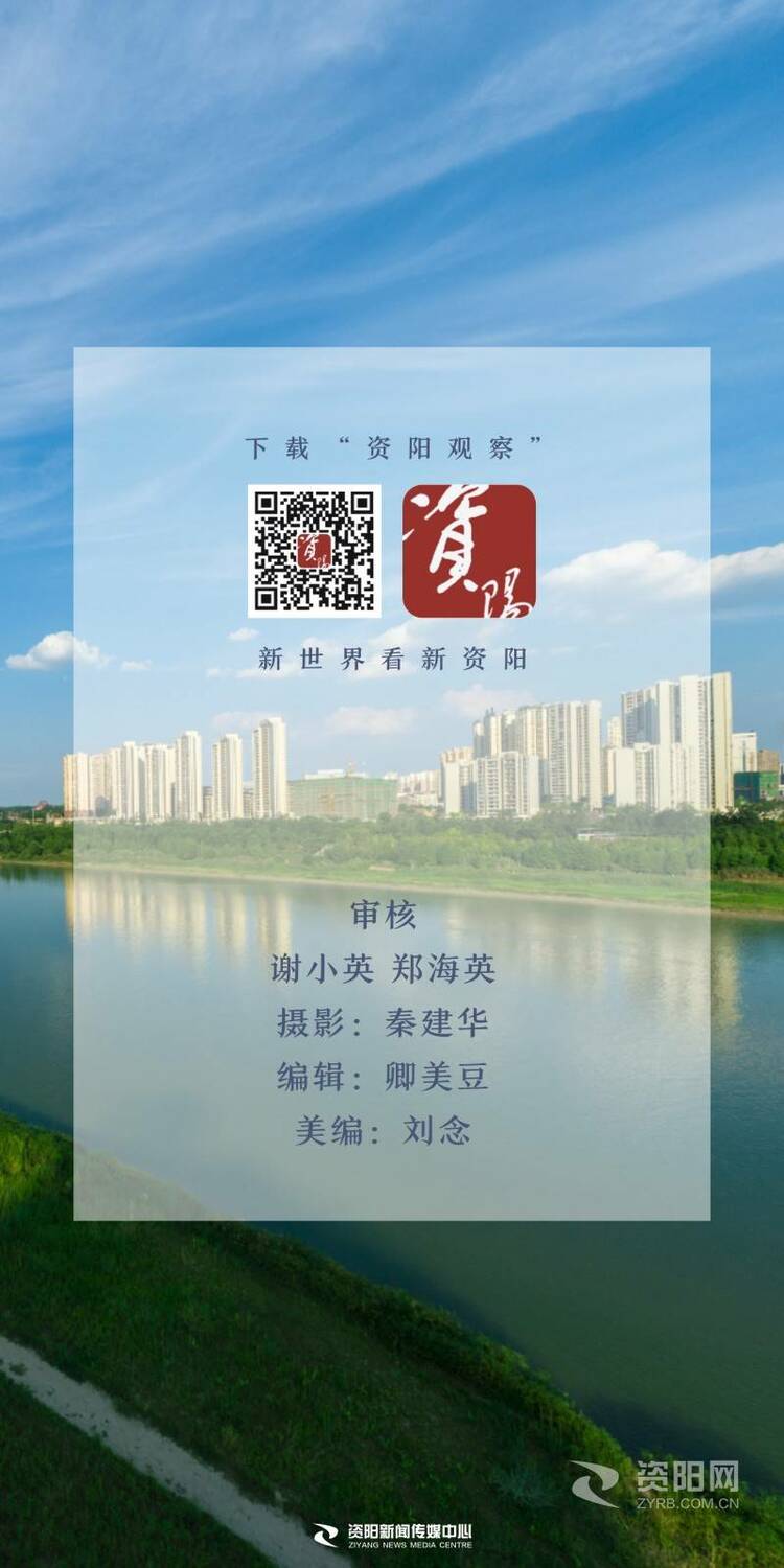 （转载）字字铿锵，句句有力！资阳市委五届五次全会报告金句来了