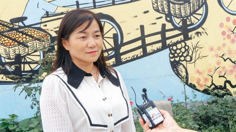 【走在乡间的小路上】长安区乔村党支部书记荆蕊蕊：用产业振兴走实乡村振兴之路的“乔村足迹”_fororder_图片1