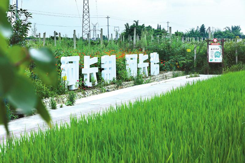 （转载）成都：创新机制 系统谋划 构建治水兴水新格局