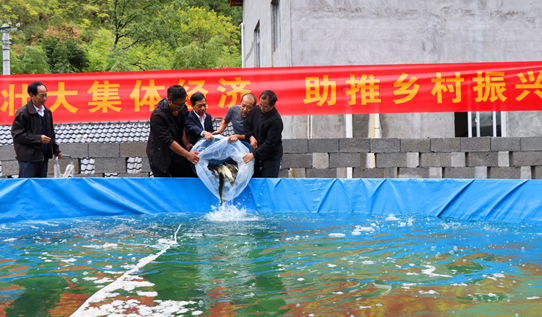 【原创】重庆巫溪菱角镇九盘村：以“三变”改革为抓手助力乡村振兴_fororder_微信图片_20220923134347