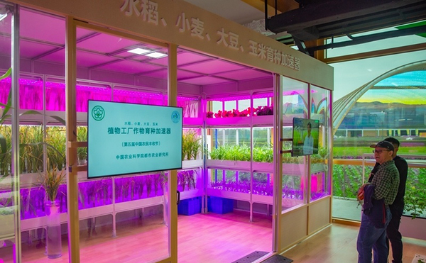 成都现代都市农业馆开馆 诠释公园城市乡村表达的成果_fororder_市民参观展示现场-供图-成都市新津区委宣传部