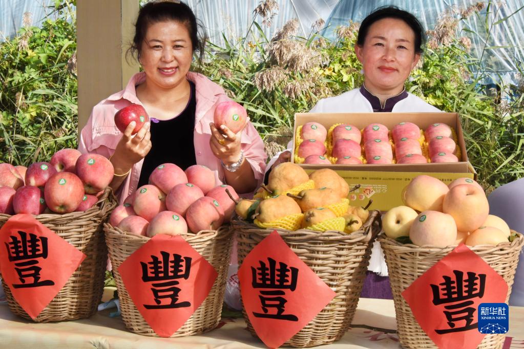 山东平度：庆祝丰收节