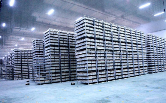 巴中通江：百天冲刺拼一线 全力以赴抓项目_fororder_未标题-3