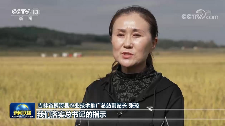 领航中国 | 夯实大国粮仓根基 端牢中国人的饭碗