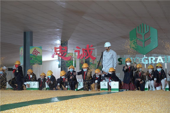 中央储备粮铁岭直属库：“宁流千滴汗 不坏一粒粮”_fororder_5