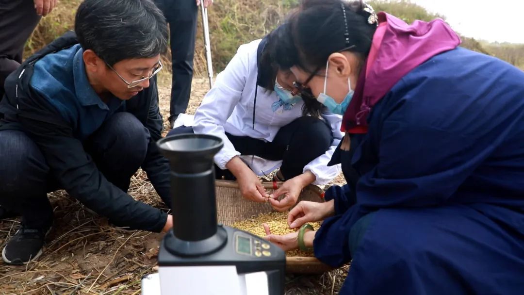 二十大时光丨山东：挖掘盐碱地利用潜力 夯实粮食安全根基