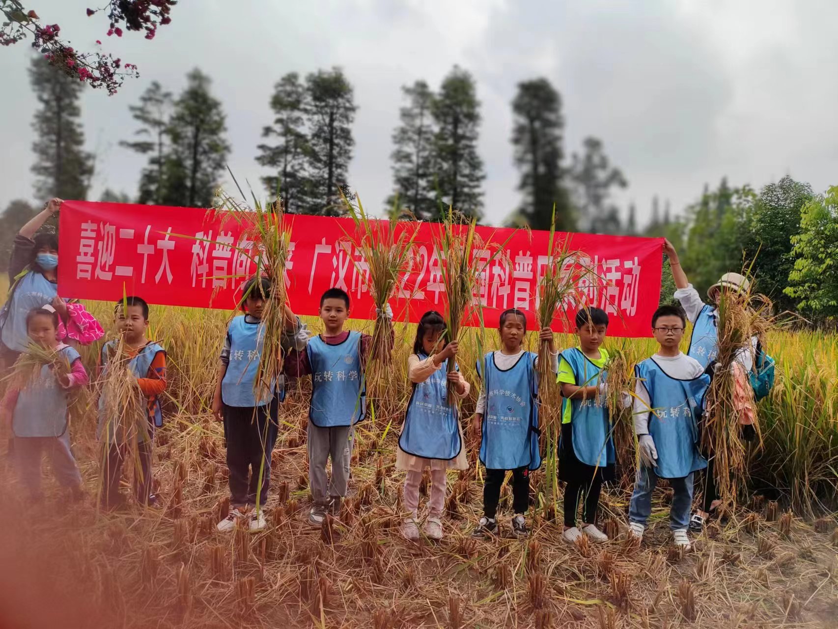 广汉：走进奇妙稻田 感受丰收的喜悦_fororder_1
