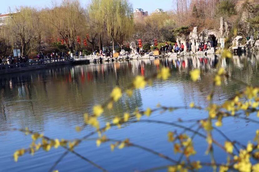 美景山东｜五龙潭公园：水不在深，有龙则灵