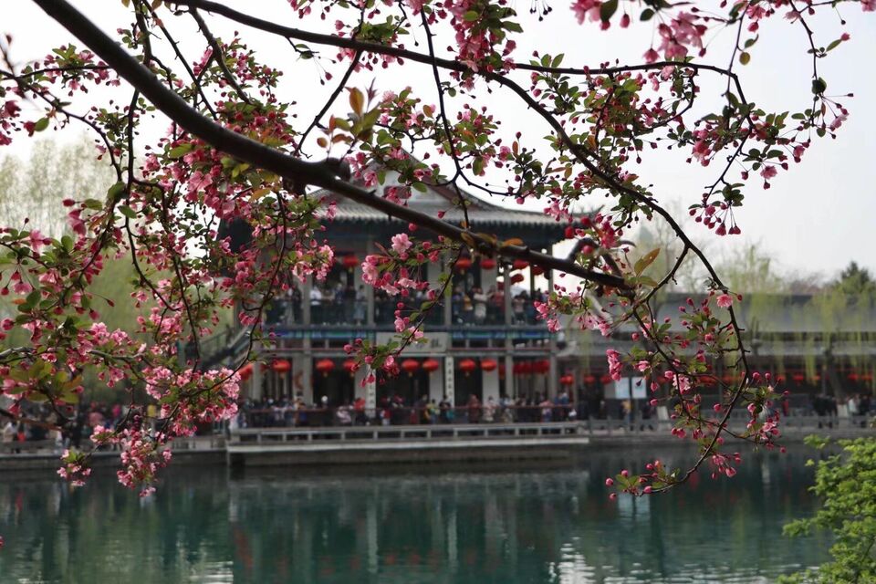 美景山东｜五龙潭公园：水不在深，有龙则灵