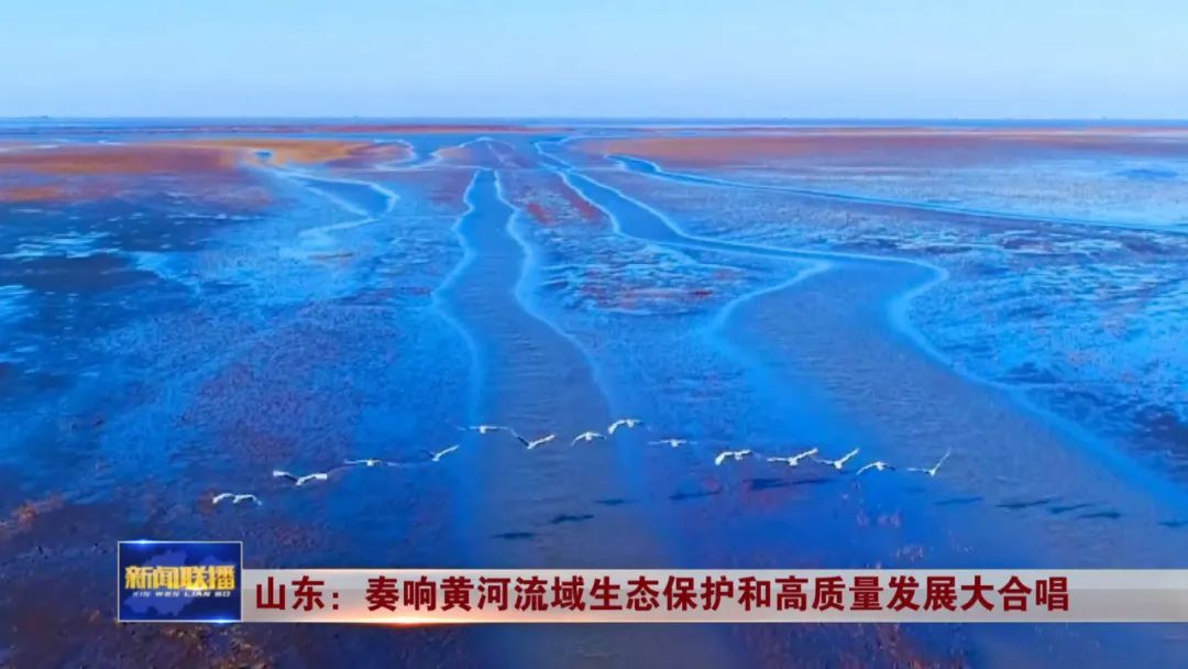 山东：奏响黄河流域生态保护和高质量发展大合唱