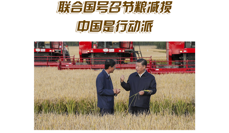 头图_fororder_移动端-金色-样式4
