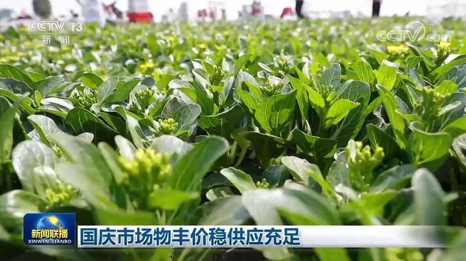 国庆市场物丰价稳供应充足