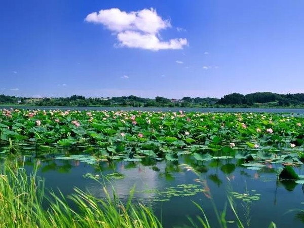 中国最美的10个地方：第一名竟然是这里（组图）