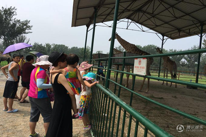 组图：金巧巧全家出游 网友称赞：是孝子良母_娱乐_腾讯网