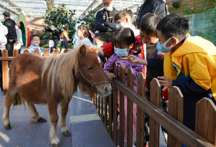 新华全媒+丨活力中国 乐享假期