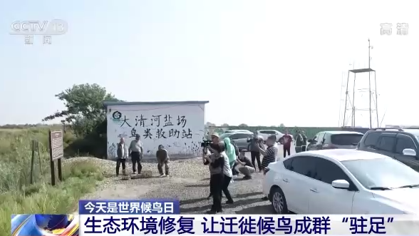 世界候鸟日丨我国生态环境持续改善 吸引候鸟驻足“加油”